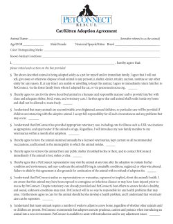 Cat/Kitten Adoption Agreement