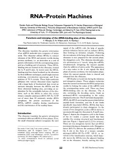 Functions and interplay of the tRNA-binding sites