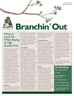 2007 - September (vol. 3, Issue 2)