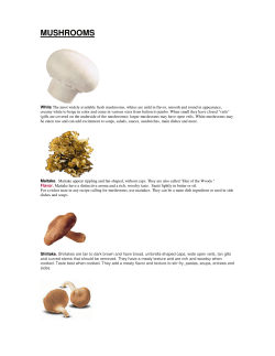MUSHROOMS
