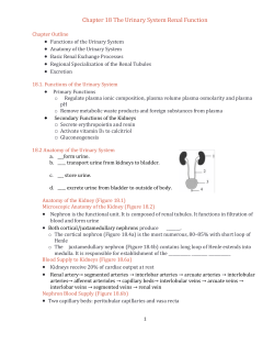 Ch. 18