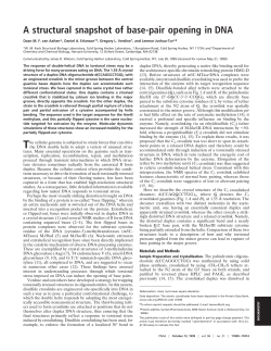 A structural snapshot of base-pair opening in DNA