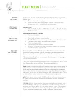 PLANT NEEDS - The Kitchen Community