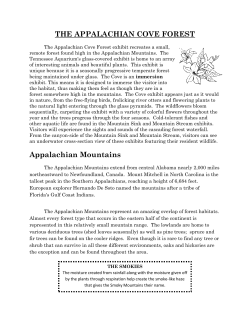 THE APPALACHIAN COVE FOREST Appalachian Mountains