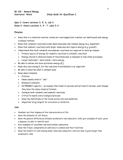 Quiz 2/Exam 2 Study Guide