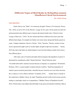 Different Types of Bird Beaks in Helianthus annuss (Sunflower