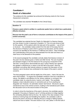 Commentary - Understanding Standards
