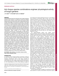 Ant&ndash;fungus species combinations engineer physiological activity of