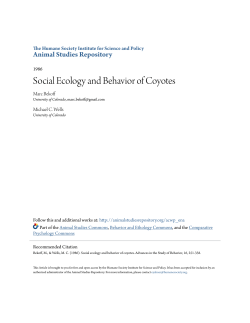 Social Ecology and Behavior of Coyotes