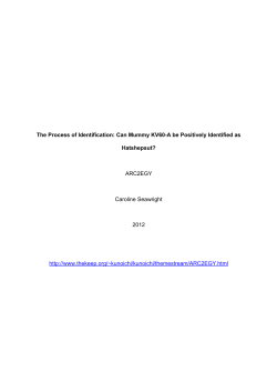 The Process of Identification: Can Mummy KV60