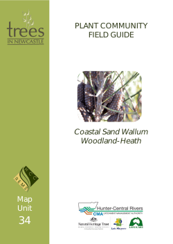 MU34 Coastal sand Wallum Woodland Heath