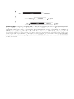 Supplementary Figure. Construction of pRL-TK&ndash;HTR3E 3`-UTR