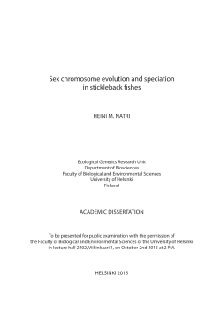 Sex chromosome evolution and speciation in stickelback