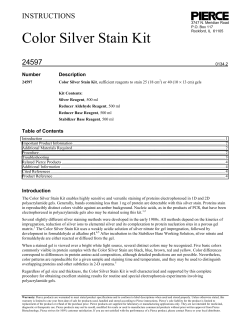 Color Silver Stain Kit