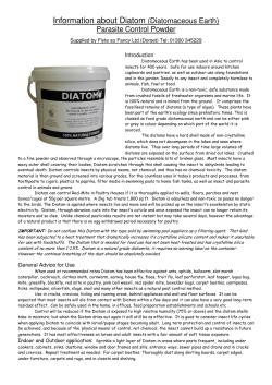 Information about Diatom (Diatomaceous Earth)