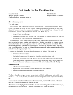 Post Sandy Garden Considerations