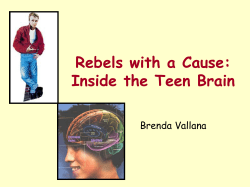 Rebels with a Cause: Inside the Teen Brain