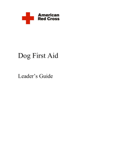 Dog First Aid leader`s Guide