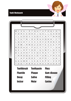 Toothbrush Fluoride Decay Incisor Toothpaste Plaque Saliva Molar