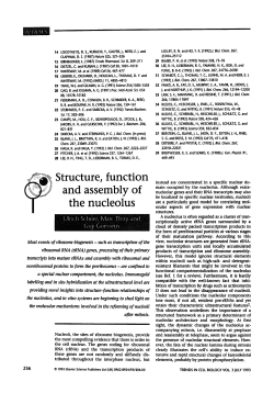 Structure, function and assembly of the nucleolus