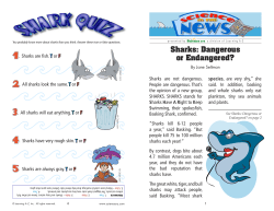 Sharks: Dangerous or Endangered?