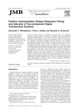 Positive Autoregulation Shapes Response Timing and Intensity in