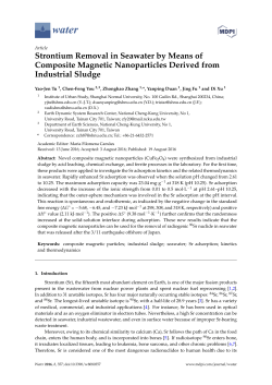 Strontium Removal in Seawater by Means of Composite Magnetic