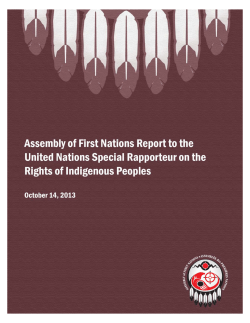AFN Report to the United Nations Special Rapporteur on the Rights of