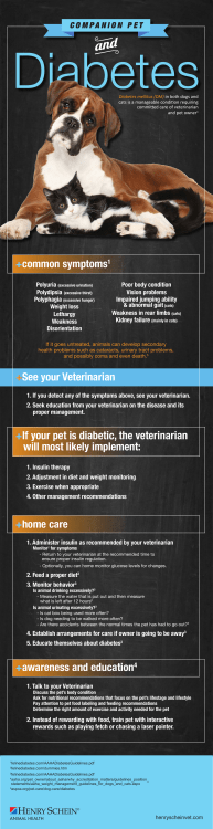 +common symptoms1 +If your pet is diabetic, the veterinarian will