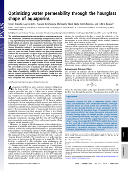 Optimizing water permeability through the hourglass - ENS-phys