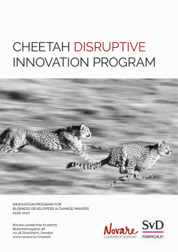 cheetah disruptive innovation program