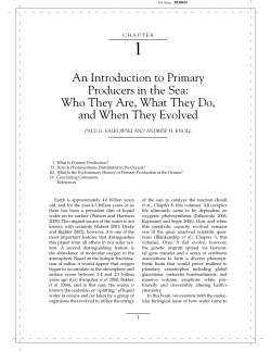An Introduction to Primary Producers in the Sea: Who They Are