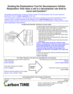 Grading the Explanations Tool for Decomposers Cellular