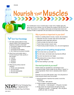 Nourish Your Muscles