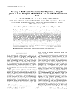 Modelling of the Hydraulic Architecture of Root Systems: An