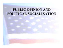 public opinion and political socialization