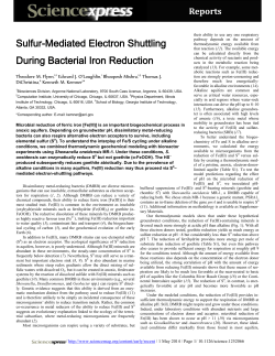 Sulfur-Mediated Electron Shuttling During Bacterial Iron Reduction