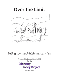 Over the Limit: Eating too much high-mercury fish