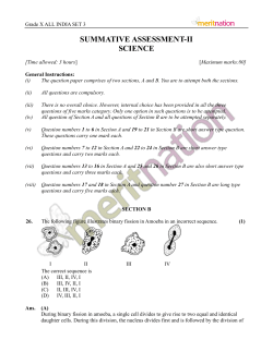 Sc 10 AllIndia Set 3 Section B