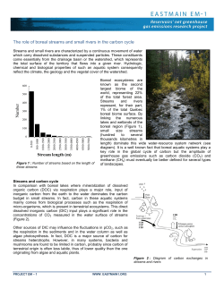 The role of boreal streams and small rivers in the carbon cycle