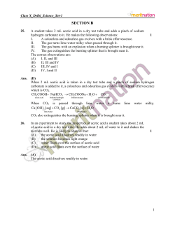 section b - Meritnation