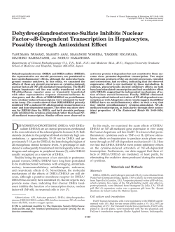 Dehydroepiandrosterone-Sulfate Inhibits Nuclear Factor