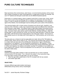 Pure Culture Techniques