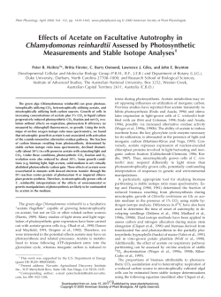 Effects of Acetate on Facultative Autotrophy in