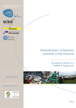 Diversification of fisheries activities in the Channel