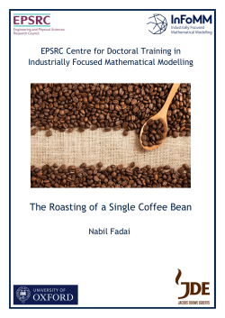 The Roasting of a Single Coffee Bean