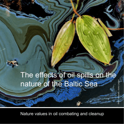 The effects of oil spills on the nature of the Baltic Sea