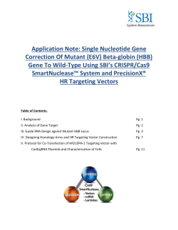 Application Note: Single Nucleotide Gene Correction Of Mutant (E6V