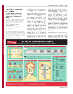 The ESCRT machinery at a glance