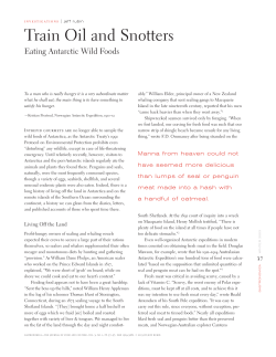 paper - The Antarctic Circle